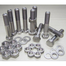 High Quality Hot Sale Titanium Bolts Gr2